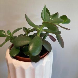 Meet your Posher, Mariah